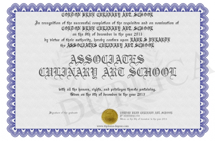 Culinary Arts fun majors to study in college Culinary Arts fun majors to study in college